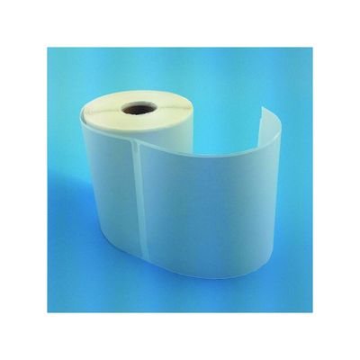ISO9001 গ্লস লেমিনেশন অকার্যকর কাস্টম শিপিং লেবেল